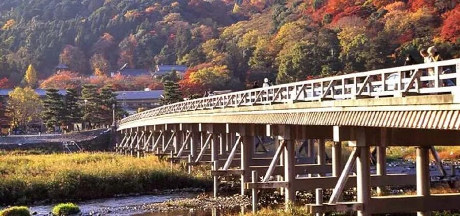 From Osaka: Kyoto, Nara, Fushimi Inari & Arashiyama Day Tour - The Bamboo Grove: When Kyoto Turns Quiet