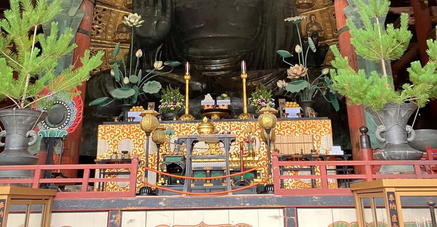 From Osaka: Nara Private Tour with Meet-Up at Your Hotel - Why a private Nara day trip beats DIY on your first try