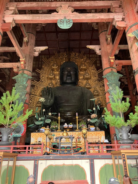 From Osaka: Nara Private Tour with Meet-Up at Your Hotel - Osaka hotel meet-up and the ride into Nara