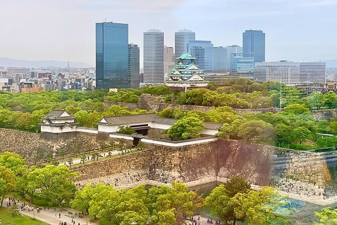 From Osaka or Kyoto: Full Day Sightseeing Tour of Kyoto - Guides can make or break a fast itinerary