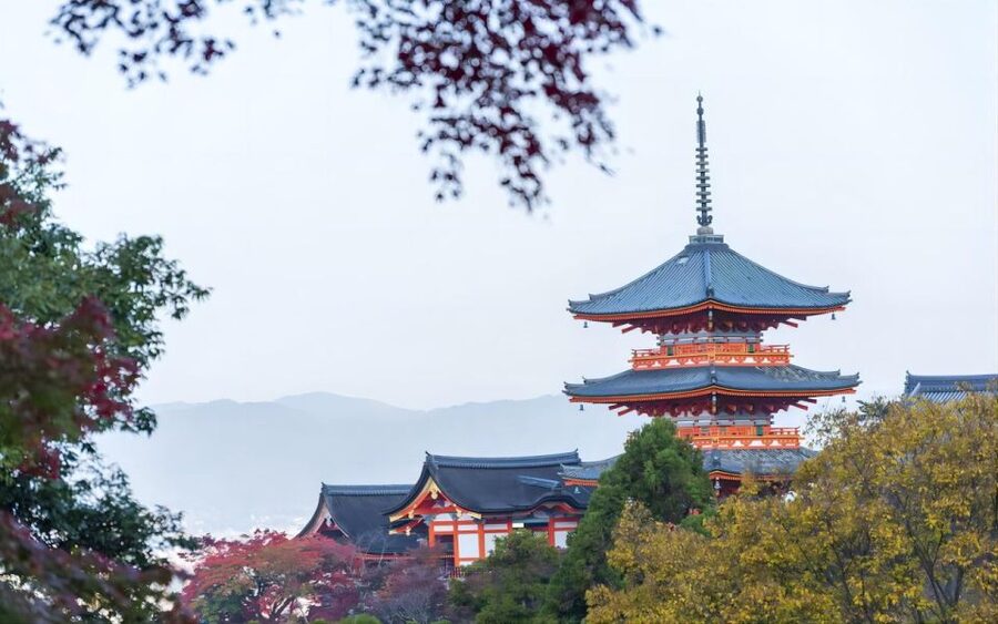 From Osaka: Private Customizable Day Tour to Kyoto - The optional English guide, when it helps and when it does not