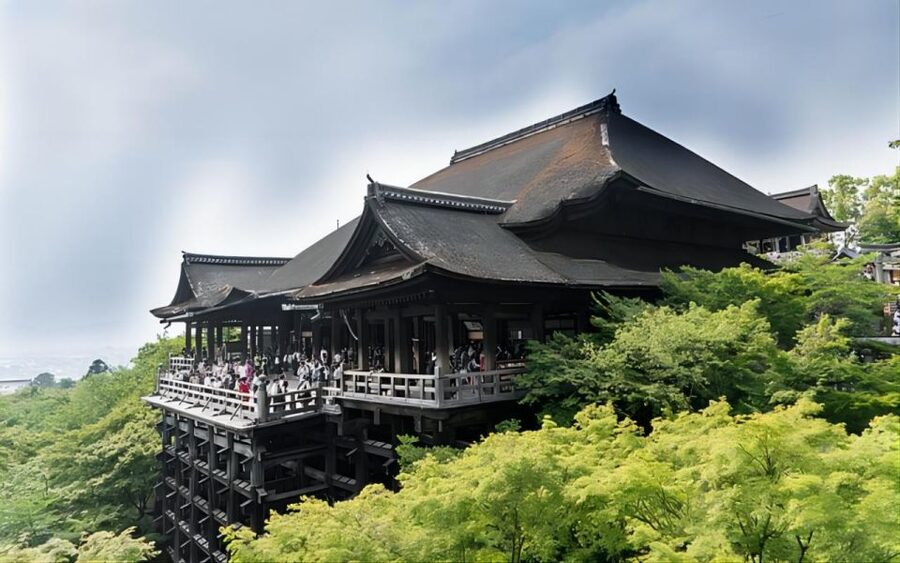 From Osaka: Private Customizable Day Tour to Kyoto - Driver quality and schedule reliability