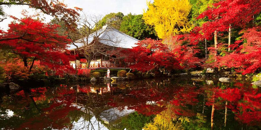From Osaka: Private Customized Day Tour to Kyoto - Kyoto Stop 1, Kiyomizu-dera and the View Playbook