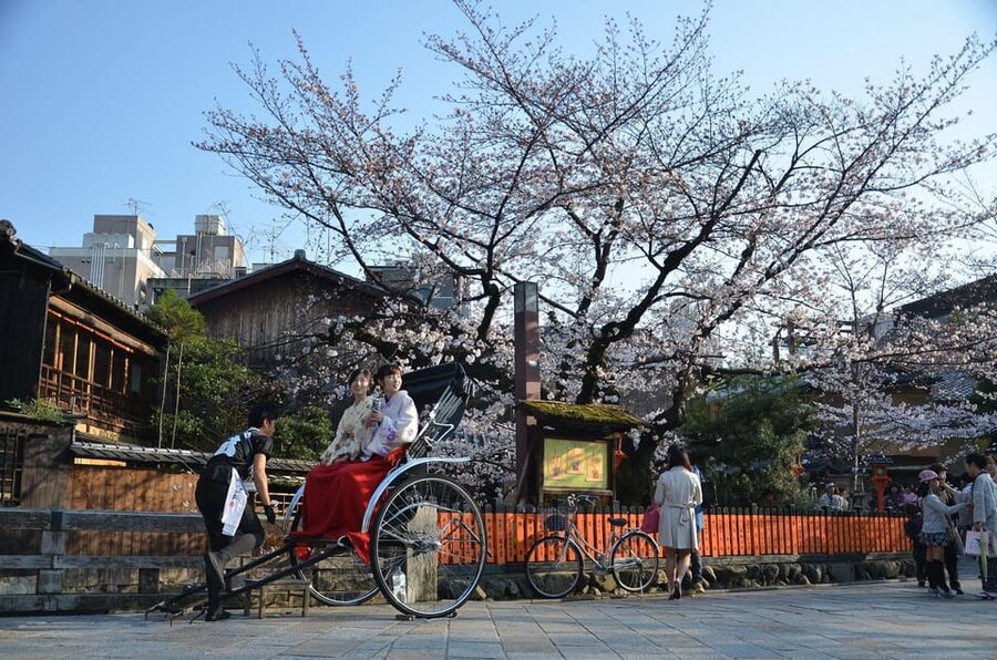 From Osaka: Private Customized Day Tour to Kyoto - Price and Logistics: Is $510 Good Value for Your Group?