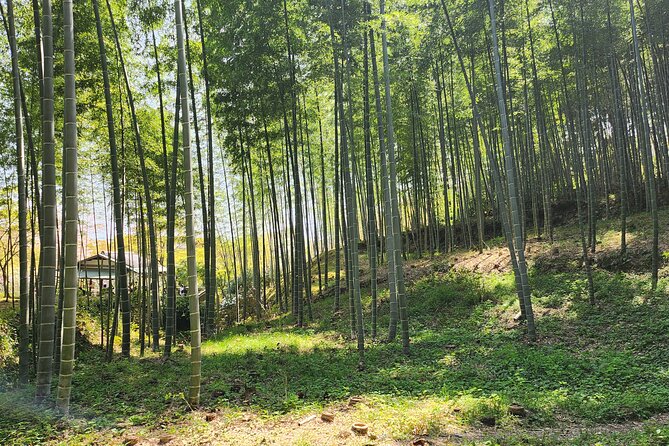 Full Day Guided Tour to Kyoto Arashiyama from Osaka by Van - Arashiyama Bamboo Grove: what 30 minutes really means