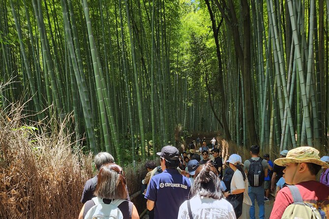 Full Day Guided Tour to Kyoto Arashiyama from Osaka by Van - Ninna-ji Temple: Nio gates, palace structure, and garden time