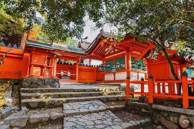Full Day Guided Tour to Nara from Osaka by Van - Key highlights you will actually feel during the day