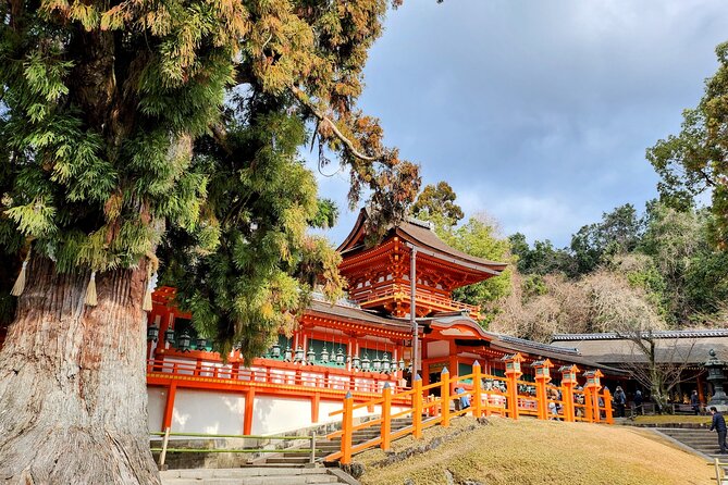 Full Day Guided Tour to Nara from Osaka by Van - The Great Buddha Hall at Todai-ji: when wooden architecture steals the show