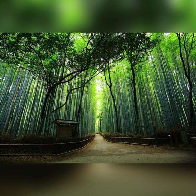 Full day Highlights destination of Kyoto with Hotel Pickup - Hotel Pickup and Your Kyoto Time Budget