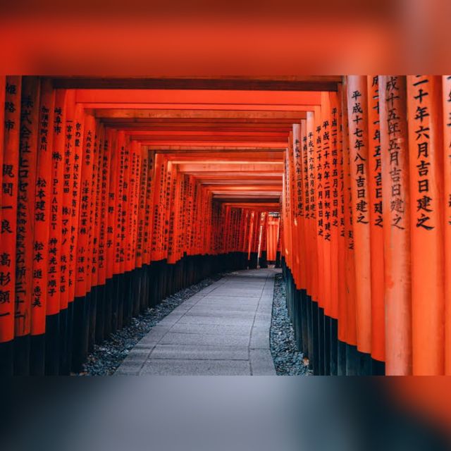 Full day Highlights destination of Kyoto with Hotel Pickup - Arashiyama Bamboo Forest, Togetsukyo, and the Bridge Photo Reality Check