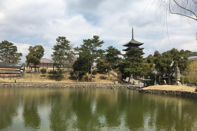 Full-Day Private Guided Tour to Nara Temples - Why This Nara Day Feels Worth It