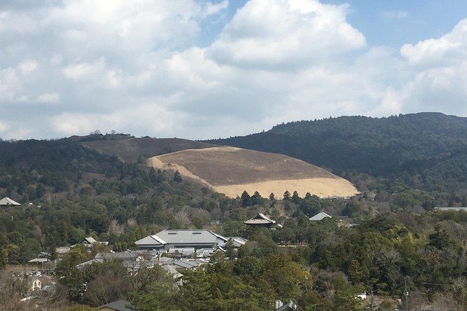 Full-Day Private Guided Tour to Nara Temples - Pickup, Timing, and the Pace of a Full Day