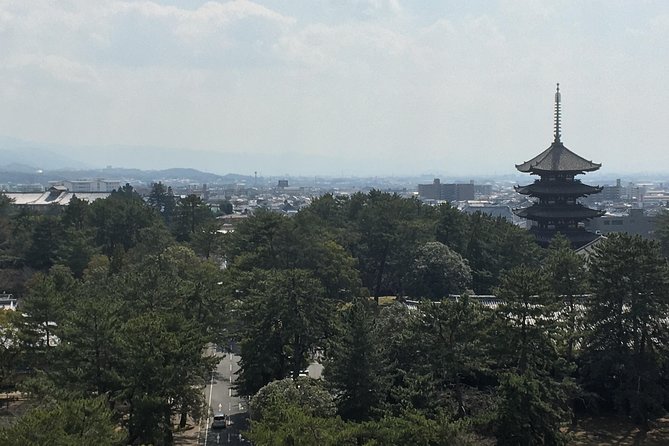 Full-Day Private Guided Tour to Nara Temples - Stop 1: Nara Prefectural Office Rooftop Views (Free)