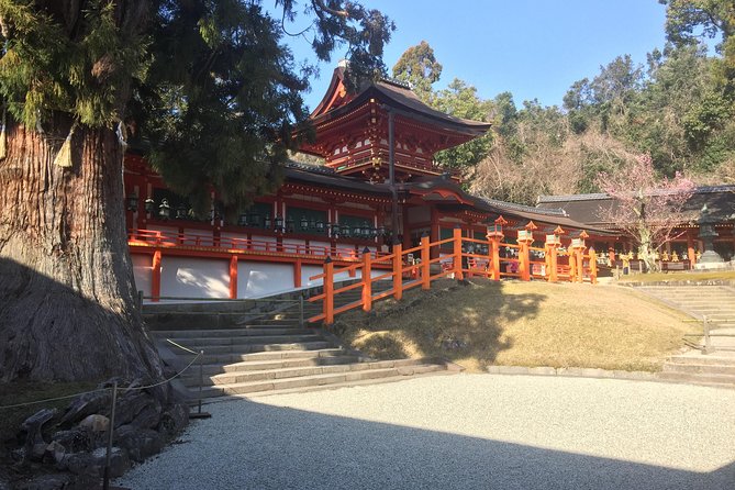 Full-Day Private Guided Tour to Nara Temples - Stop 3: Kasuga Grand Shrine in the Park (2 Hours)