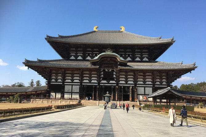 Full-Day Private Guided Tour to Nara Temples - Stop 4: Nara Park and Deer Etiquette That Actually Helps (1 Hour)