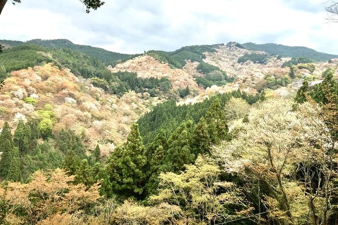 Full-Day Private Guided Tour to Yoshino, Japanese Mountain - Key highlights to know before you go