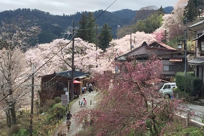 Full-Day Private Guided Tour to Yoshino, Japanese Mountain - Kinpu and Mikumari shrines: starting the day at the mountaintop