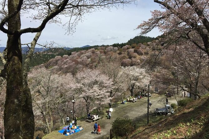 Full-Day Private Guided Tour to Yoshino, Japanese Mountain - Hanayagura and Yoshimizu: the cherry-blossom viewpoints that define Yoshino