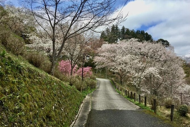 Full-Day Private Guided Tour to Yoshino, Japanese Mountain - Kinpusenji Temple and Kukai’s 9th-century legacy