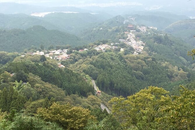 Full-Day Private Guided Tour to Yoshino, Japanese Mountain - UNESCO Kii Mountains pilgrimage routes: what you’re walking through