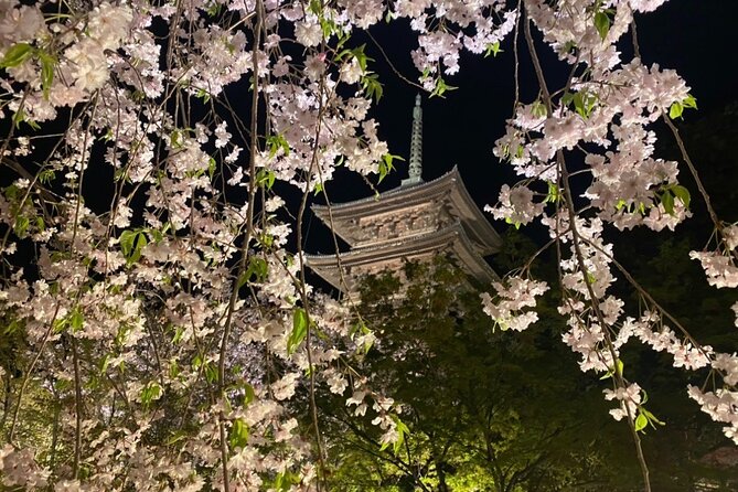 Full Day Private Tour in Kyoto with Pickup - Kinkaku-ji Gold Leaf and Ginkaku-ji Silver Edge: One Theme, Two Looks