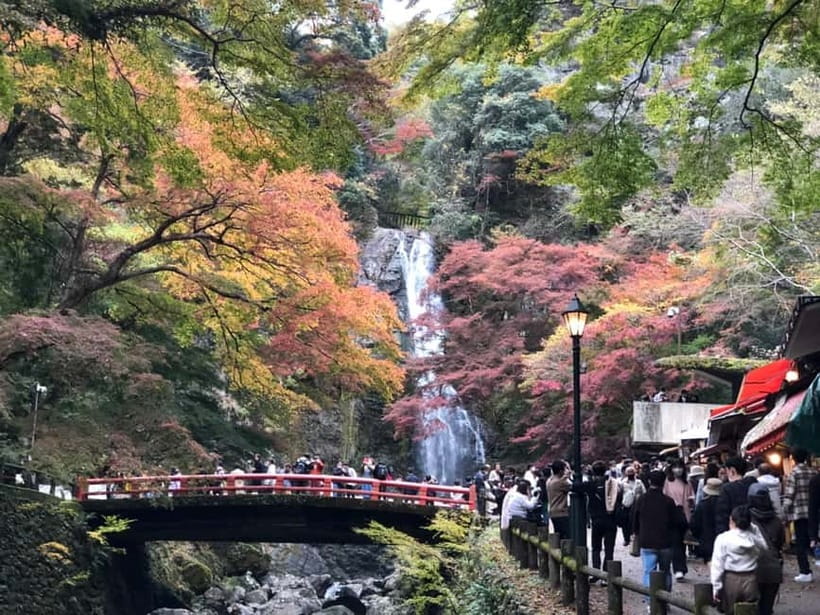 Get to know Minoo from Osaka. Katsuoji Temple, Ryuanji Waterfall and Ryuanji Temple - The walk toward Minoo Falls, plus momiji tempura