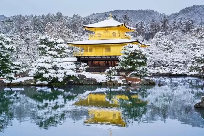 Golden Pavilion Kiyomizu Temple and Fushimi Inari Shrine Tour - Key Points to Know Before You Go