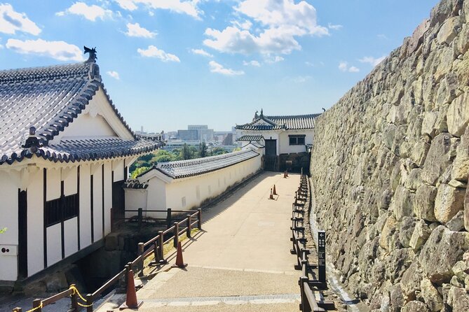 Half-Day Private Guided Tour of Himeji Castle - Timing, pacing, and what to wear for this castle day