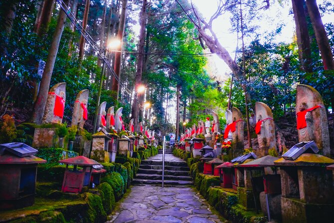 Hidden Gems of Osaka Kyoto Nara - Private Car Tour by Local Guide - Price and value: what $248.22 per private group really means for you