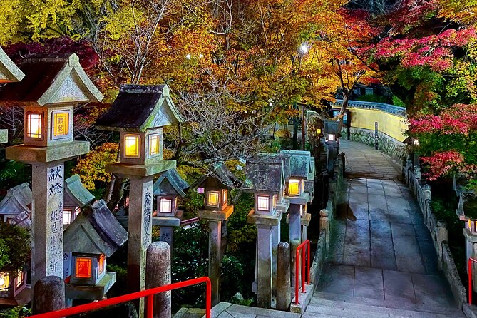 Hidden Gems of Osaka Kyoto Nara - Private Car Tour by Local Guide - Who this tour suits best, and who should rethink it