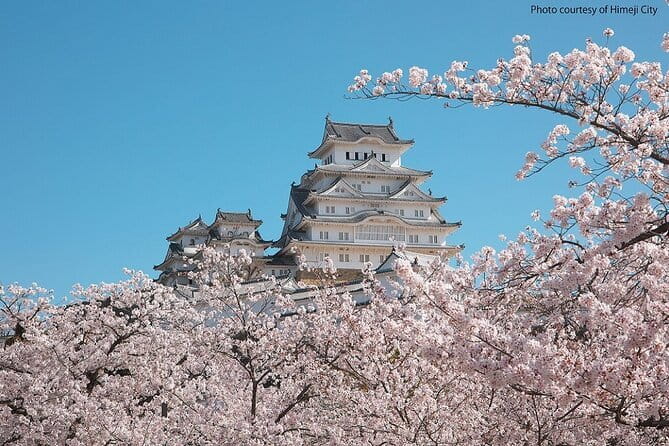Himeji Castle and Akashi Kaikyo Bridge Walking Tour from Osaka - Hotel Nikko Himeji Lunch Buffet: Fuel Without the Planning Headache