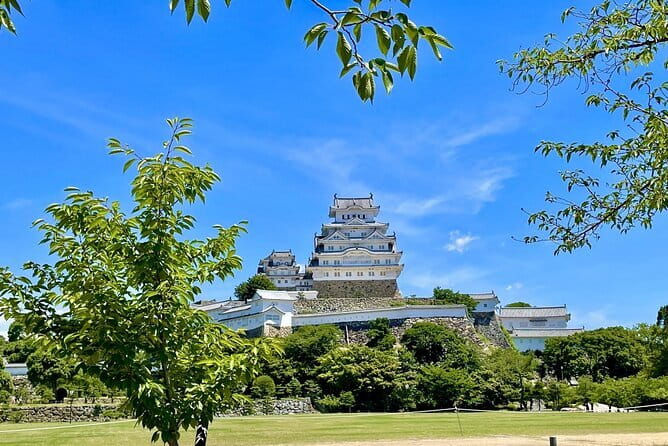 Himeji Castle, Arima Onsen & Mt. Rokko: 1-Day Bus Tour from Osaka - From Osaka at 8:00 am: the pick-up reality