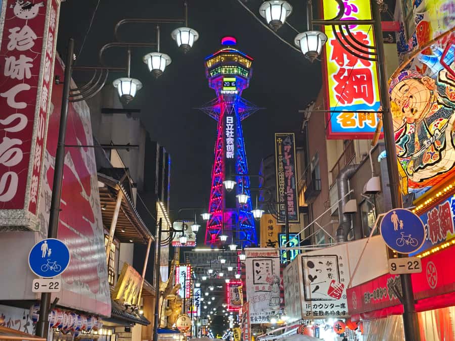 Hungry Osaka Street Food Tour: 15 Dishes & 3 Drinks - Udon and Oden Finale at a Standing Bar