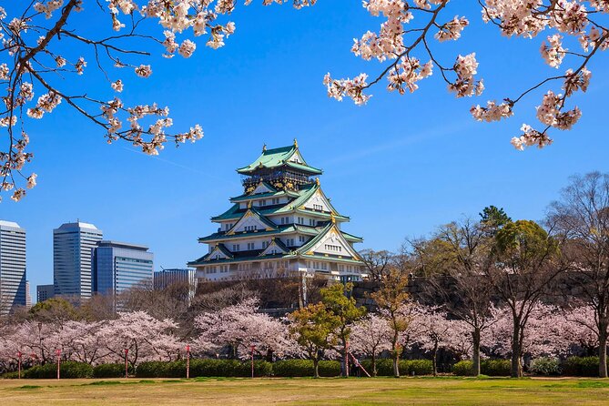 Kansai Airport (KIX) Transfer to Osaka/Kobe/Kyoto/Nara/Wakayama - Luggage Rules, Extra Time, and Car Seat Reality Checks