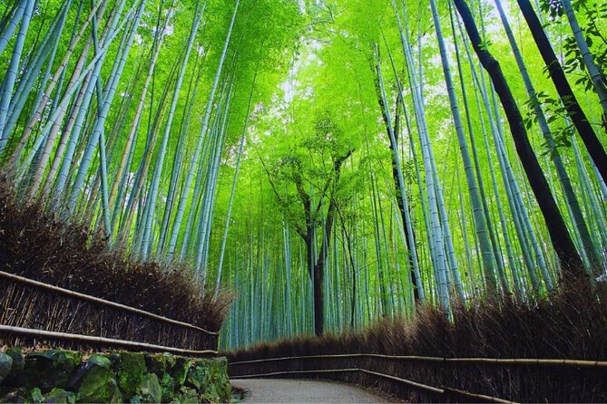 Katsuo-ji Temple, Arashiyama Forest, & Nara Park - Arashiyama Bamboo Grove: How to Make 90 Minutes Count