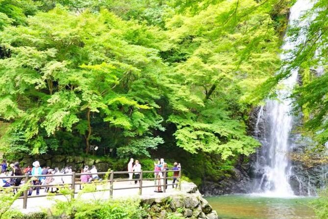 Katsuo-ji Temple, Arashiyama Forest, & Nara Park - Nara Park: Deer Encounters and Temple Stops in the Open Air