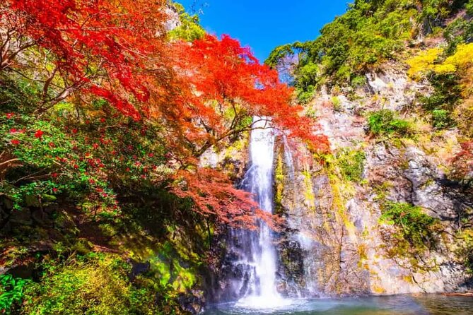 Katsuo-ji Temple, Arashiyama Forest, & Nara Park - What the 11-Hour Schedule Feels Like in Real Life