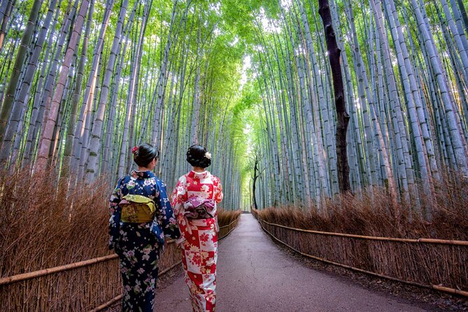 Katsuo-ji Temple, Arashiyama Forest, & Nara Park - A Note on Add-Ons Like Kimono Options