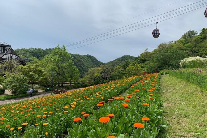 Kobe private tour from Osaka (Shore excursion available from Osaka or Kobe port) - Kitano Museum and Ijinkan houses: the Western side of Kobe