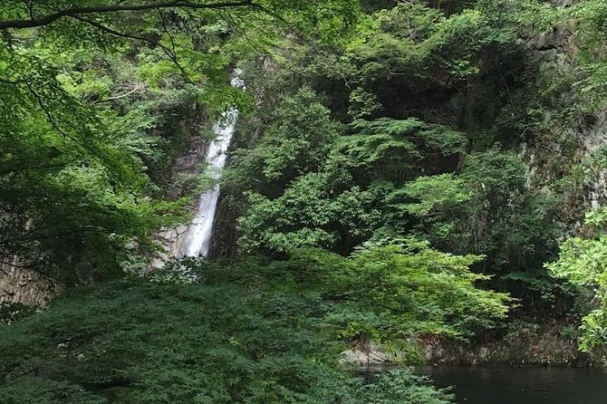 Kobe private tour from Osaka (Shore excursion available from Osaka or Kobe port) - Private guide value: what you gain beyond a checklist