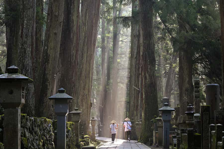 Koyasan: A Mysterious Meditation Journey - Kongobu-ji Temple: Your Best Choice for Shingon Buddhism