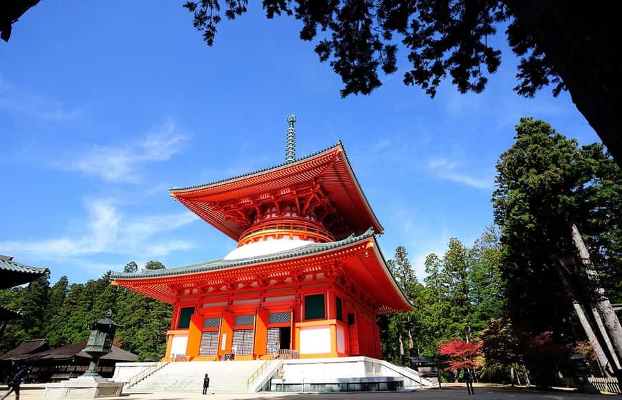 Koyasan: A Mysterious Meditation Journey - Okuno-in of Kobo Daishi: Graves, Status, and a Very Specific Kind of Quiet
