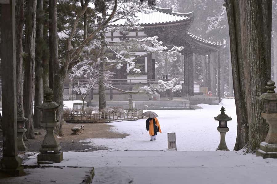 Koyasan: A Mysterious Meditation Journey - Optional Monk-led Meditation Training: What You Gain, What You Must Confirm