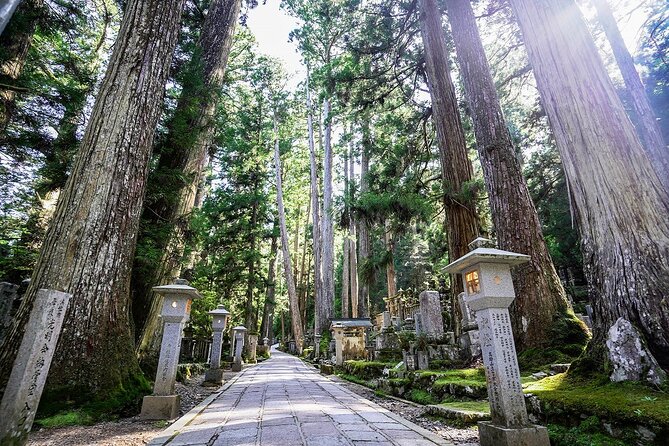 Koyasan Day Trip by Private Car from Osaka - Koyasan in One Day, Without the Hassle