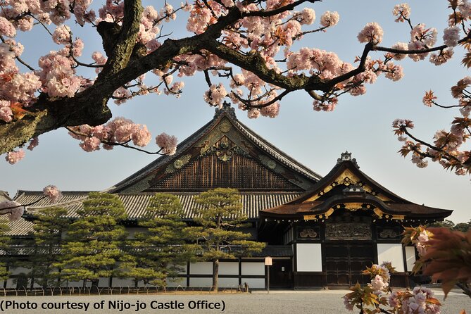 Kyoto 1 Day Tour from Osaka - Key takeaways before you go