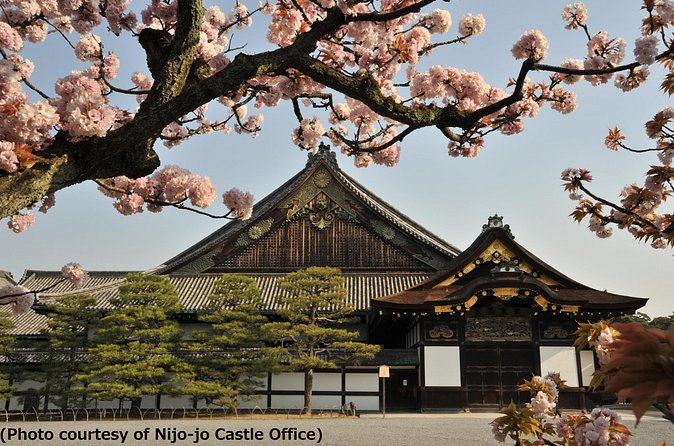Kyoto 1 Day Tour from Osaka - Kinkaku-ji Golden Pavilion: the photo moment and the setting