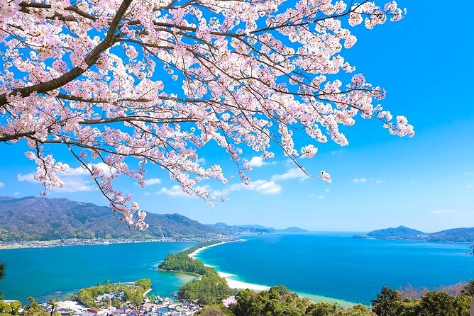 Kyoto Amanohashidate and Ine No Funaya Tour from Osaka - The Kyotamba Rest Area breaks that make a long day easier