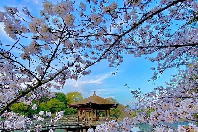 Kyoto and Nara Day Tour from Osaka - Why this Kyoto and Nara day trip works from Osaka