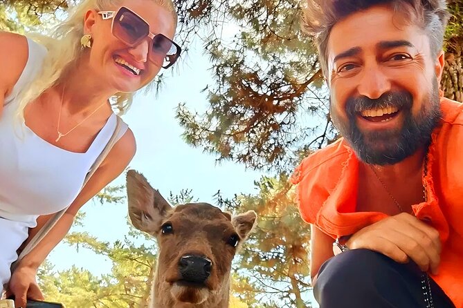 Kyoto and Nara Day Tour From Osaka with Deer Sightings - Key highlights worth planning around