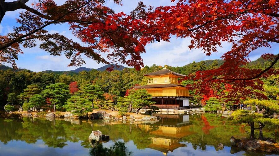 Kyoto and Nara Day Tour From Osaka with Deer Sightings - Rules inside the vehicle and what to pack